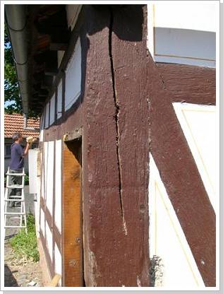 0013_backhaus_13 .jpg